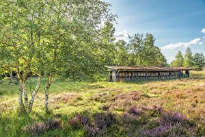 Heath Prints: Beehives in the Wesel Heath nature reserve, Undeloh, Luneburg Heath, Lower Saxony, Germany