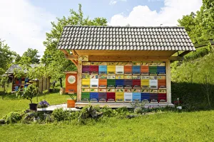 Images Dated 12th May 2021: Beekeeping, Bled, Slovenia