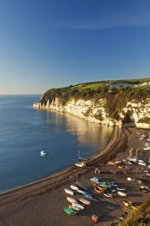Chalk Prints: Beer, Jurassic Coast World Heritage Site, Devon, England