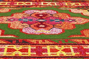 Images Dated 14th April 2015: Belgium, Brussels, Grand Place, Flower Carpet Festival, Flower Pattern