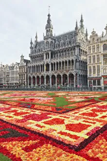 Images Dated 14th April 2015: Belgium, Brussels, Grand Place, Flower Carpet Festival and Brussels City Museum