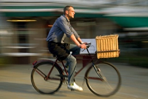 Antwerp Prints: Belgium, Flanders, Antwerp; A man cycling, a common form of transport in the city