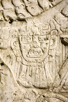 Mayan Gallery: Belize, Lamani