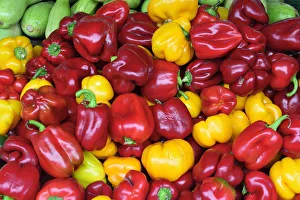 Central Market Prints: Bell peppers. Central market (Centraltirgus). Riga, Latvia