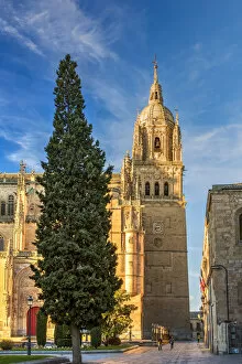 Images Dated 6th April 2018: Bell tower, Cathedral, Salamanca, Castile and Leon, Spain