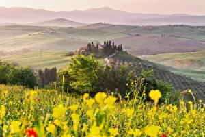 Belvedere Prints: Belvedere farmhouse In orcia valley, San Quirico d Orcia, Tuscany, Italy