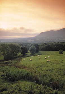 County Sligo Prints: Ben Bulben, Yeats Country, Co