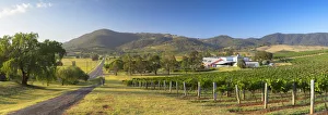 Ben Ean Wine Estate, Hunter Valley, New South Wales, Australia
