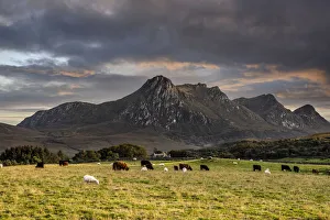 Ben Loyal, Sutherland, Highlands, Scotland, United Kingdom