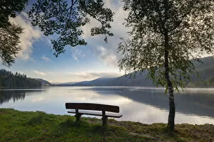 Bench overlooking Lake Titisee, Baden-Wurttemberg, Schwarzwald, Black Forest, Germany