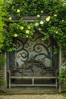 Rose Prints: Bench & Roses, Elton Hall Gardens, Elton, Cambridgeshire, England