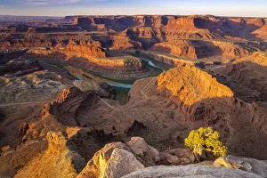 Bend of Colorado river at sunrise at Dead Horse Point, Dead Horse Point State Park, Utah