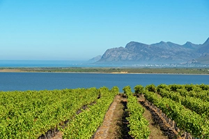 Benguela Cove Lagoon Wine Estate, Western Cape, South Africa