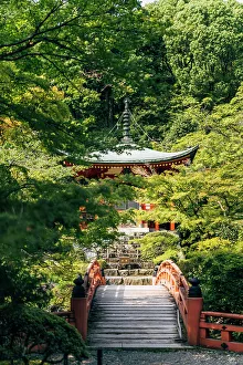 Maple Prints: Bentendo Hall and Bridge in summer, Daigo-ji Temple, Kyoto, Japan