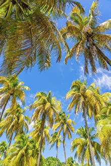 Q2 2023 Prints: Bequia Island, Grenadine Islands, Saint Vincent and the Grenadines, Caribbean