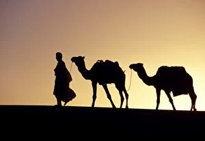 Images Dated 9th February 2009: A Berber tribesman is silhouetted as he leads his two