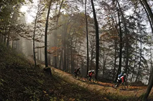 Mountain Biking Prints: Berchtesgadener Land, Bavaria, Germany