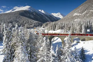 Train Prints: Bernina Express passes near S-chanf, Graubunden, Engadin Switzerland, Europe