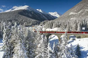 Railway Gallery: Bernina Express passes near S-chanf, Graubunden, Engadin Switzerland, Europe