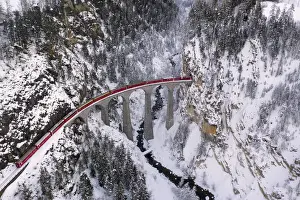 Viaduct Prints: Bernina Express passes through the snowy woods Filisur Canton of Grisons Switzerland