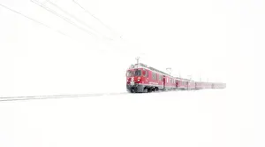 Train Prints: Bernina Express red train emerging from mist at Bernina Pass during a winter snowfall