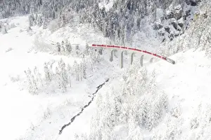 Viaduct Prints: Bernina Express train on Landwasser viaduct framed by snow capped woods, Filisur