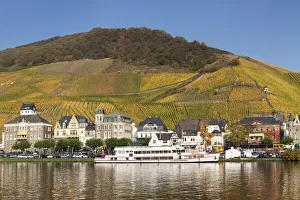 Weinanbau Prints: Bernkastel-Kues, Moselle Valley, Rhineland-Palatinate, Germany