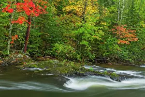 Berry Creek in autumn colors Sioux Narrows Provincial Park, Ontario, Canada