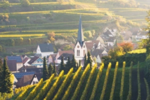 Bickensohl, Vogtsburg im Kaiserstuhl, Kaiserstuhl region, Black Forest (Schwarzwald)