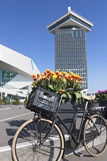 Bicycle and tulips at AaA┬ÇA┬Ödam Tower, Amsterdam, Netherlands