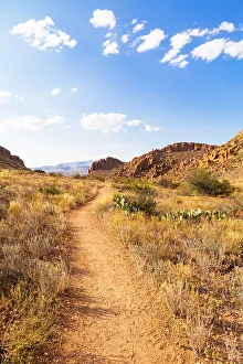 Places Prints: Big Bend National Park, Texas, USA