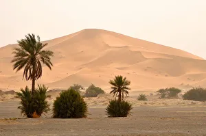 Marocco Prints: A big sand dunes in the desert of Erg Chebbi, Sahara. Morocco, North Africa