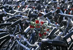 Bikes, Leiden