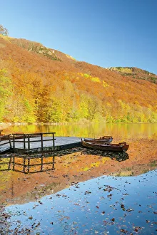 Montenegro Prints: Biogradska Gora national park