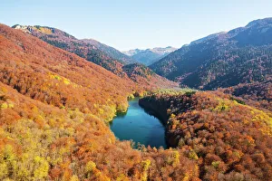 Montenegro Prints: Biogradska Gora national park