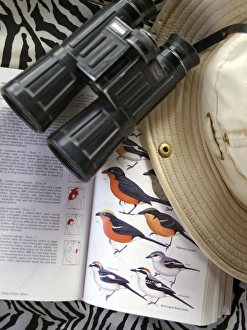 Binoculars Prints: Bird book, binoculars and safari hat