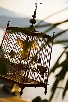 Images Dated 12th February 2014: Bird cage, Bo Phut, Koh Samui, Thailand