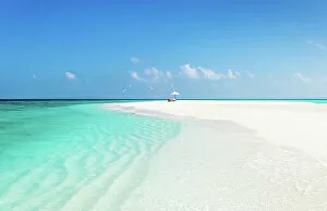 Deserted Collection: Birds and a parasol, on a sandbank in the Indian Ocean, Baa Atoll, Maldives