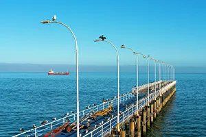 Provincia De Valparaiso Prints: Birds perching on pier against blue sky at Caleta Portales