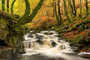 Birks of Aberfeldy in Autumn, Aberfeldy, Highland Perthshire, Scotland