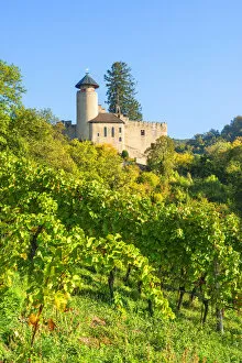 Birseck castle, Arlesheim, Basel-Country, Switzerland