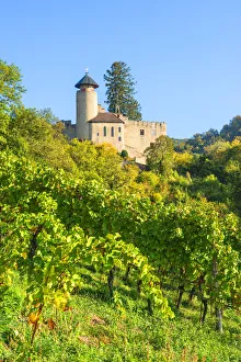 Hans Georg Eiben Prints: Birseck castle, Arlesheim, Basel-Country, Switzerland