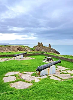 Cannon Prints: The Black Castle, Wicklow, County Wicklow, Ireland