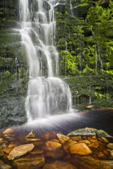 Cascading Collection: Black Clough Falls, Peak District National Park, Derbyshire, England