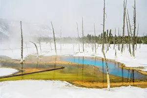 Carvings Prints: Black Sand Geyser Basin in winter- Opalescent Pool