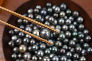 South Pacific Gallery: Black South Sea Pearls, Fakarawa, Tuamotu Archipelago, French Polynesia