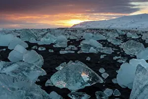 Southeast Iceland Prints: Black volcanic sand beach covered in icebergs from Jokulsarlon glacier lagoon