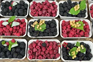 Blackberries at the food market in Kazimierz. Krakow, Poland