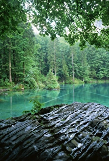 Blausee, Kandersteg