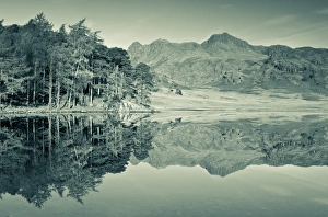 European Union Prints: Blea Tarn, Lake District
